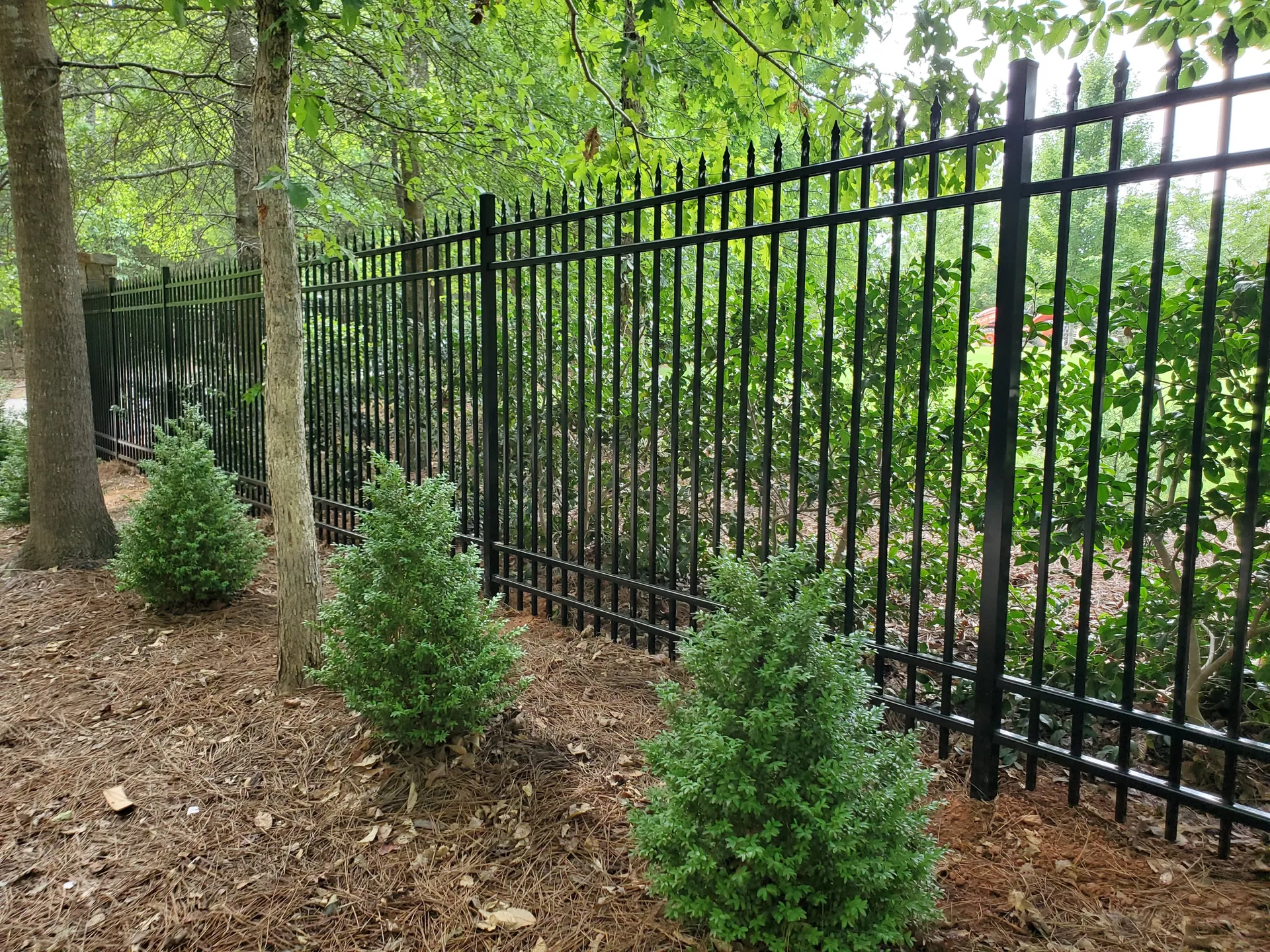 Black aluminum fence pine straw boxwood shrubs wooded yard gastonia