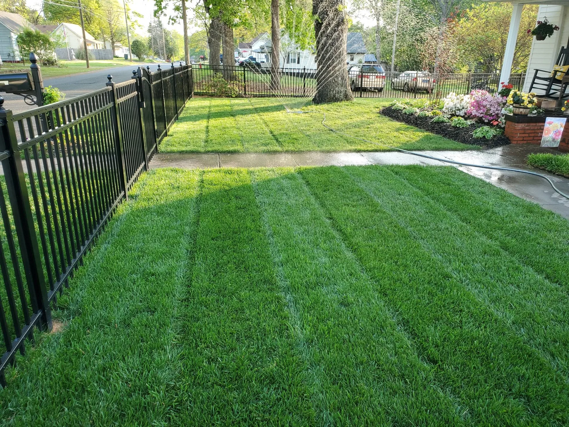 Black aluminum picket fence corner mowed front lawn sprinkler flower bed gastoni