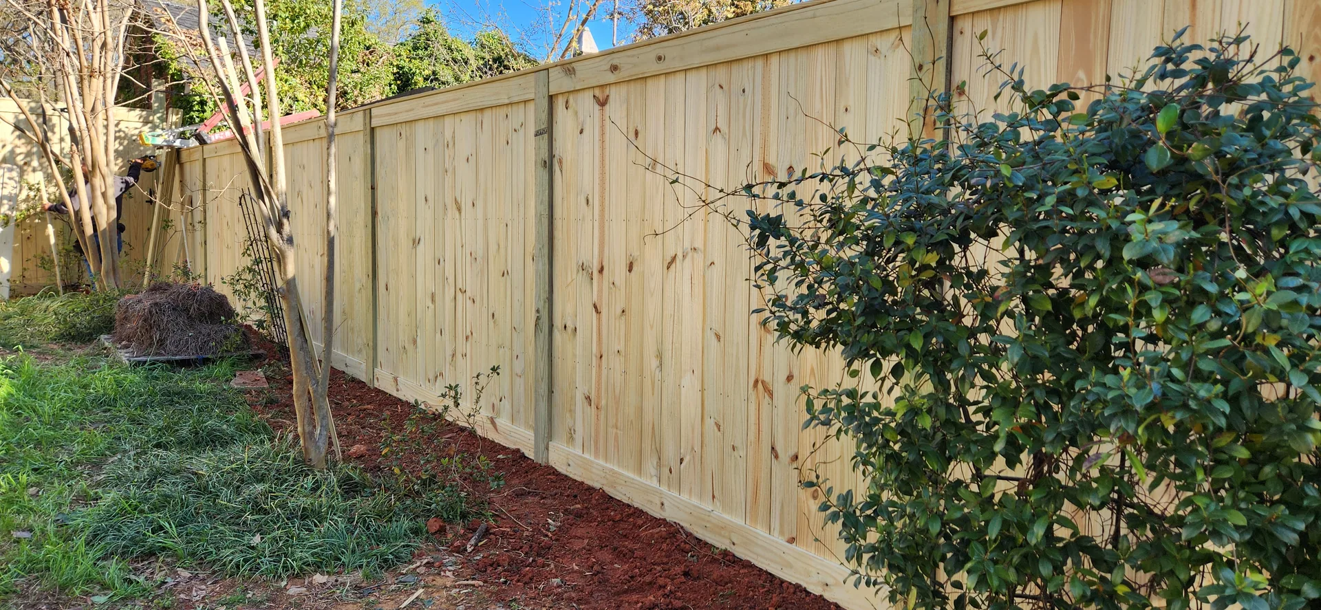 New wood privacy fence camellia shrub red mulch bed lowell nc